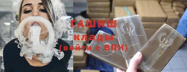 индика Волоколамск