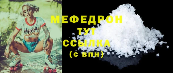 индика Волоколамск