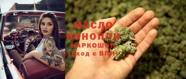 индика Волоколамск