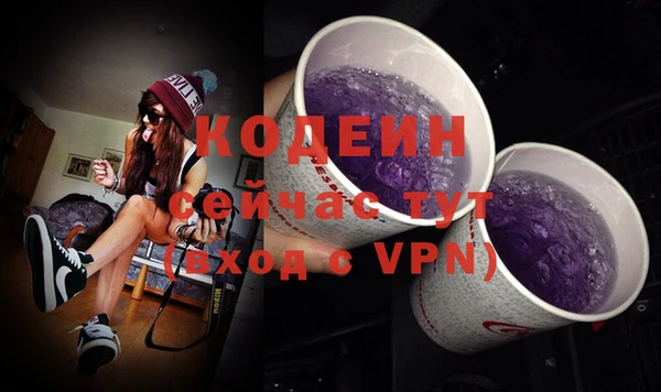 индика Волоколамск