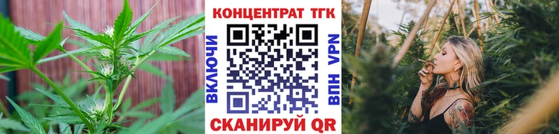 даркнет сайт  Заводоуковск  ТГК вейп с тгк 