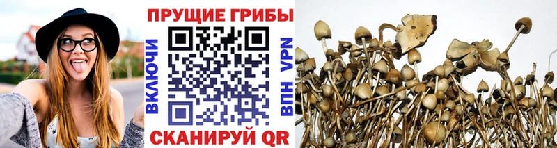 Галлюциногенные грибы GOLDEN TEACHER  Заводоуковск 